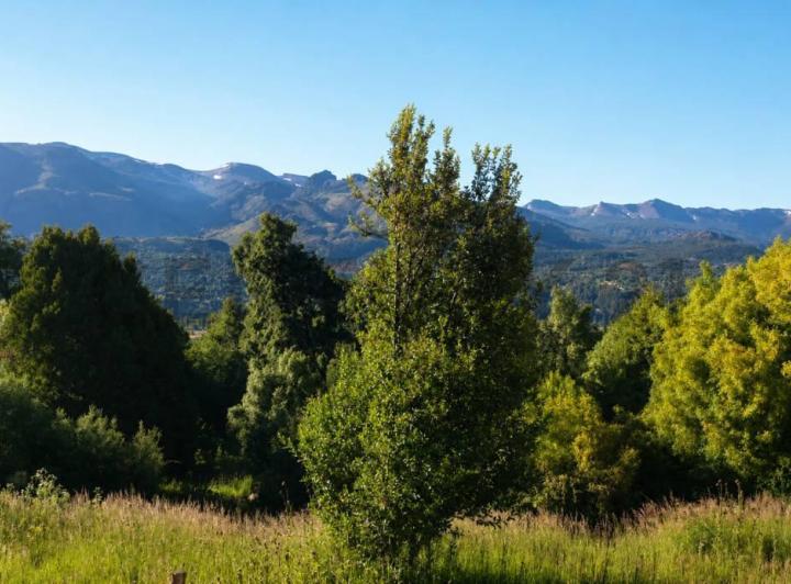 Terreno · 1840m²