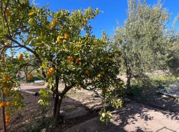 Terreno · 18200m² · Venta Terreno Maipú Mendoza