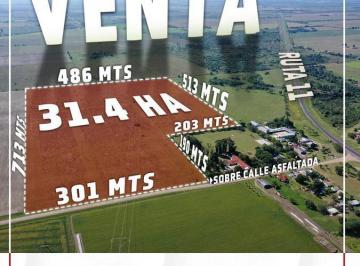 Campo · 314000ha · Campo en Arroyo Ceibal