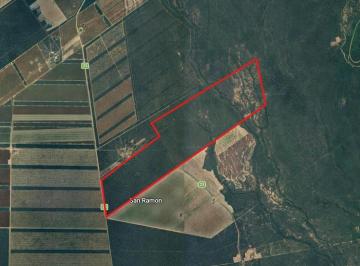 Campo · 4940000ha · Campo en Venta - Pellegrini, Santiago del Estero