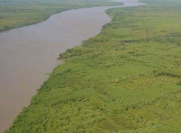 Terreno · 612ha · Terreno Lote en Venta en Islas del Ibicuy, Entre Ríos, Argentina