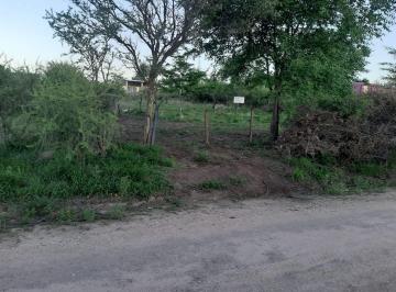 YAR-YAR-29503_2 · Lote. | 19