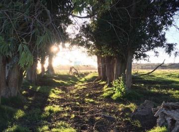 Campo · 32m² · Terreno Campo en Venta en Jose Ignacio, Punta del Este, Punta del Este / Maldonado