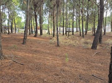 Terreno · 1120m² · Terreno Lote en Venta en Marítimo III, Costa Esmeralda, Costa Atlántica