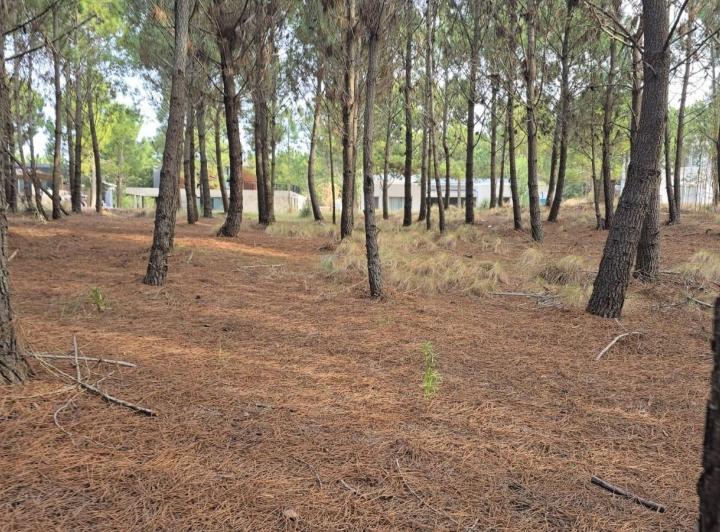 Terreno · 1120m²