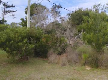 Terreno · 600m² · Venta Terreno Oceanía del Polonio, Rocha 600 m²