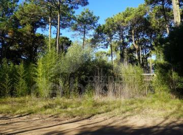 Terreno , Cariló · ¡Lote con Hermoso Entorno!