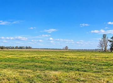 Campo · 21ha · Venta Fracciones de Campo | 9 y 12,7 Hectáreas | Posibilidad de Financiación | San Antonio de Areco