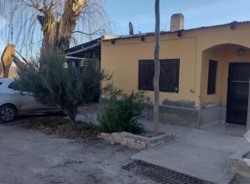 Campo · 65000ha · 4 Ambientes · Alquiler de 605 Ha con Casa