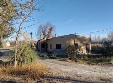 Campo · 65000ha · 4 Ambientes · Alquiler de 605 Ha con Casa