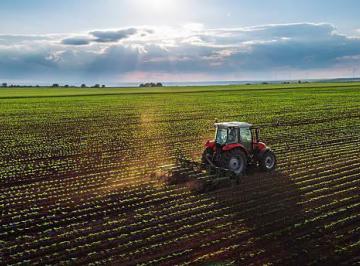 Campo · 350m² · Campo de 61 Ha en Burruyacu