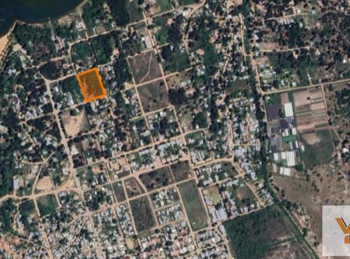 Campo · 7174m²