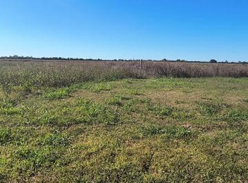 Terreno · 500m² · Terrenos en Venta Villa Esquiu