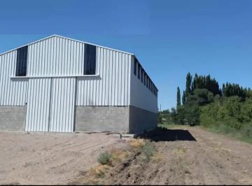 Bodega-Galpón · 17300m² · Alquiler - Galpón de 312 m² - Sobre R 22 - Gral Fernandez Oro