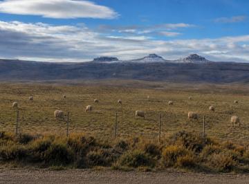 Campo · 1ha · 2 Ambientes · Campo de Ovinos en Provincia del Chubut