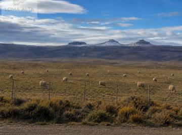 Campo · 1ha · 2 Ambientes · Campo de Ovinos en Provincia del Chubut