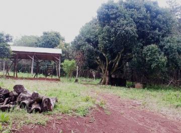 Terreno · 14950m² · Terreno de 15 Mil m² en Venta en San Jose Barrio Don Bosco - Misiones