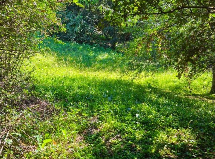 Terreno · 4374m²