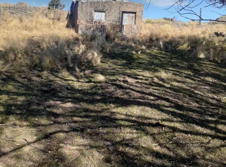 Campo · 60ha