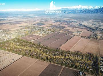 Terreno · 600m² · Lujan de Cuyo Mendoza Barrio Privado Quattro del Plata, Vistalba.