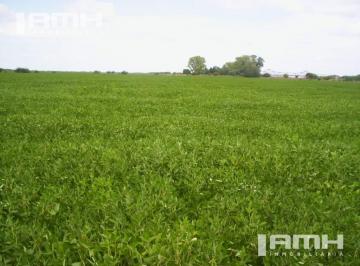 Campo · 900000ha · Campo - General Madariaga Campo en Venta 90 Hectáreas Gral Madariaga
