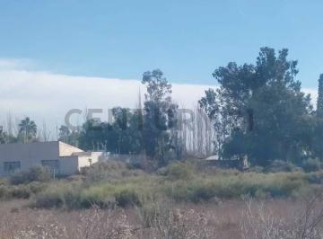 Terreno · 4943m² · Venta de Terreno en Colonia Segovia, Guaymallén, Mendoza - Id: