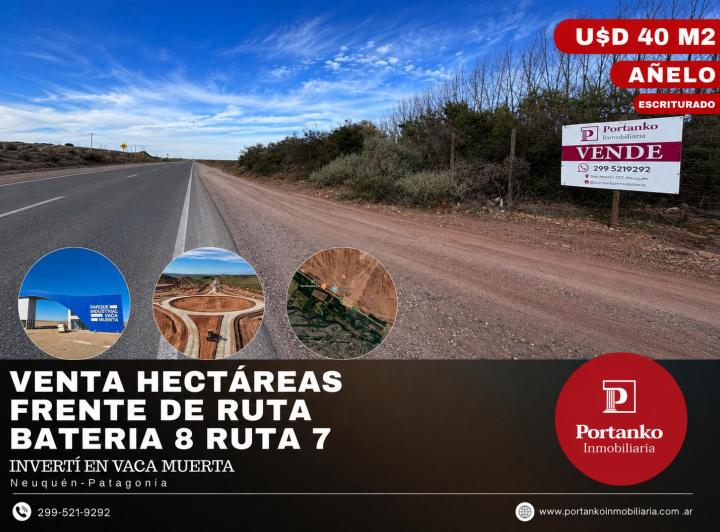 Terreno · 11ha
