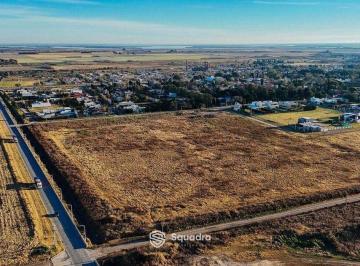 Terreno · 67117m² · Venta - Terreno de 56.000 m², Ideal Para Subdividir - Villa Constitución.