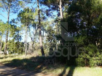 Terreno , Cariló · Hermoso Lote en Esquina, Ubicado Dentro del Barrio Zorzal