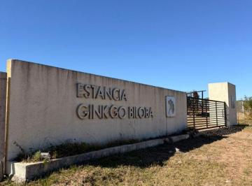 Terreno , Los Molinos · Hermoso Lote en Complejo Ginkgo Biloba - Los Molinos - Cambiar Tu Ritmo de Vida Es Posible