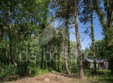 Terreno , Cariló · Terreno de 1060 m² en Venta en Cariló