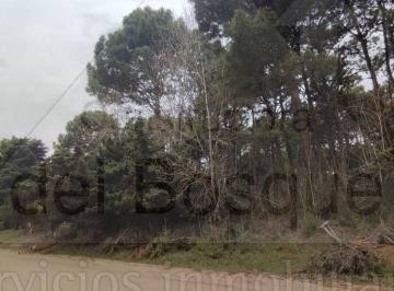 Terreno , Cariló · Lote Unifamiliar a La Venta Ubicado Sobre Calle Divisadero a Tan Solo 3 Cuadras de La Playa.