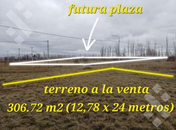 Terreno · 306m² · Venta Lote 306 m² - Loteo Las Esculturas, Allen