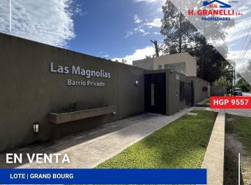 HGP-HGP-9557_2 · Lote. | Mario Bravo (Nº 26) Al 300