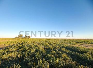 Campo · 100m² · Campo en Venta | 32,5 Hectáreas Productivas en Melincué