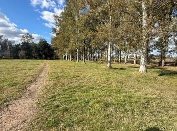 Terreno , San Antonio de Areco · Lote en Venta El Tropezón de Areco