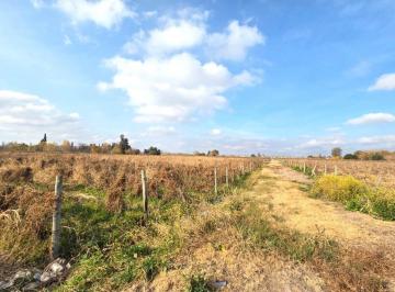Terreno , Buena Nueva · Venta Lote 17 Has Apto Desarrollo Urbano Guaymallén