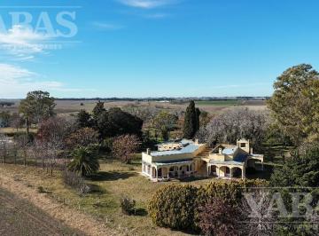 Campo · Venta - 90 Ha - Exclusivo Haras - Zona Arrecifes