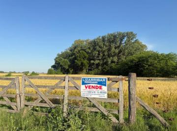 Campo , Suipacha · Campo de 35 Hectáreas en Venta – Suipacha, Buenos Aires