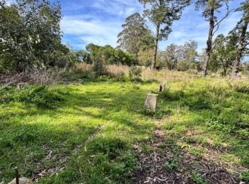Terreno , Mar del Plata · Fraccion de Campo 2 y 1/2 Ha - Zona Boqueron - Mar del Plata - Alquiler