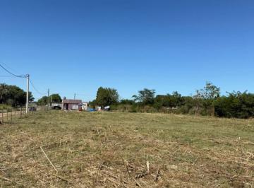 Terreno , Carmen de Areco · Vendo Lotes en Carmen de Areco