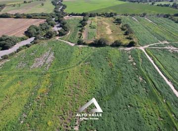 Campo · 385000ha · Finca Productiva en Venta de 38,5 Hectáreas — Chicoana — Ideal Desarrollo E Inversión
