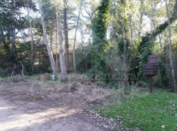 Terreno , Cariló · Lote con Hermoso Entorno