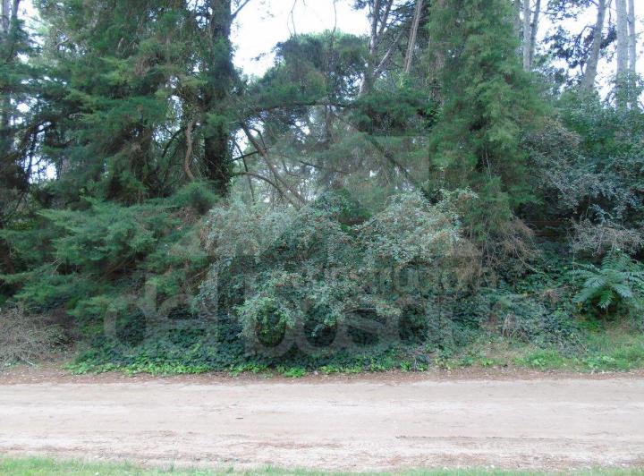 Terreno · 50m²