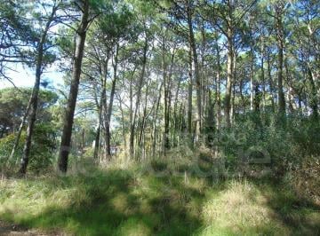 Terreno , Cariló · Lote Unifamiliar Cercano Al Mar