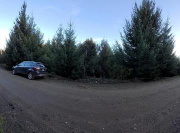 Terreno · 2552m² · Venta de Lote - San Martín de Los Andes - Barrio Ruca Hue Calle Mari y Meli