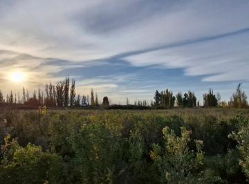 Terreno · 10000m² · Terreno Venta Fray Luis Beltran, Maipu