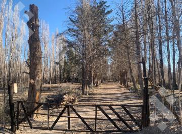 Terreno · 40000m² · Terreno - Plottier