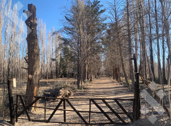 Terreno · 40000m²