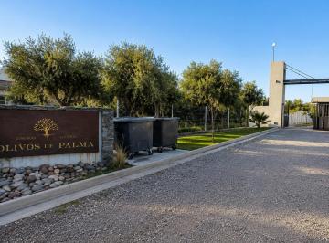 Terreno · 501m² · Terreno - Maipu
